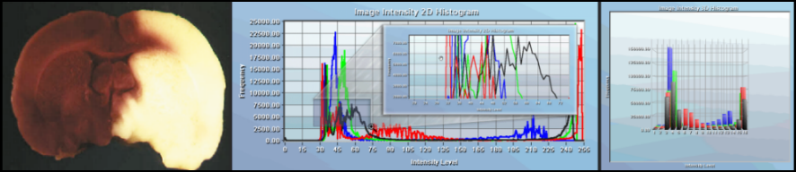 2-D and 3-D Image Intensity Histogram
